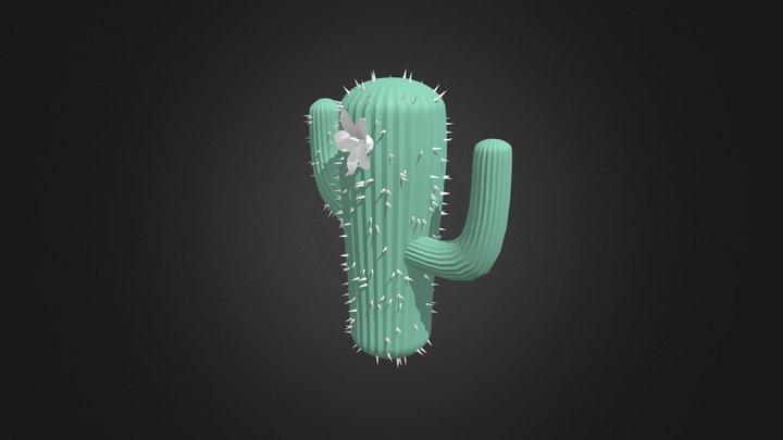 Cactus1skecth 3D Model