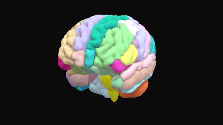 Brain Segmentation | from FLAIR - 6mm slice 3D Model