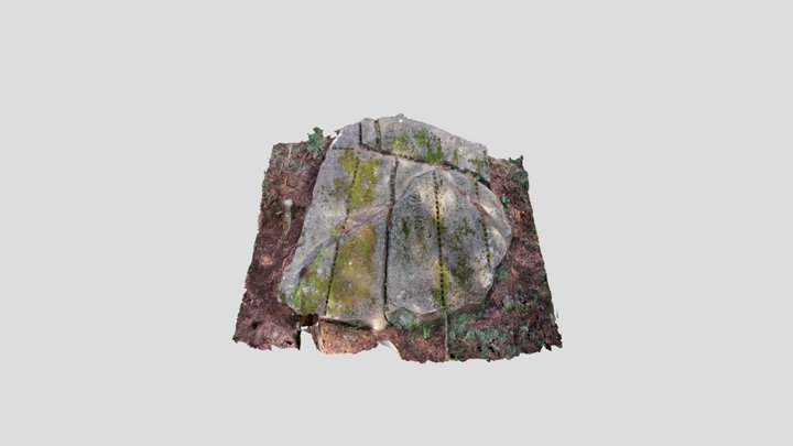 早川石丁場 3D Model