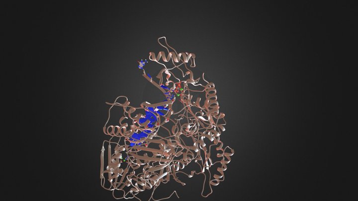 Rtdna 3D Model
