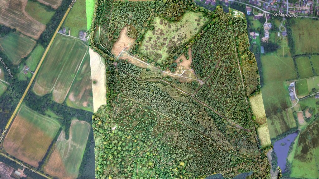 HARGATE FOREST
