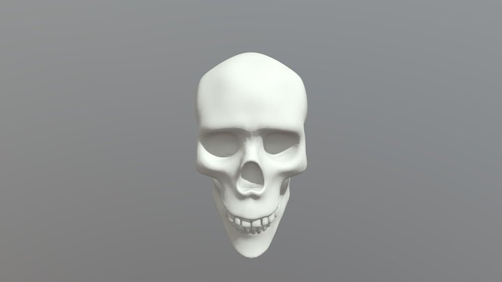 Skull 3D Model