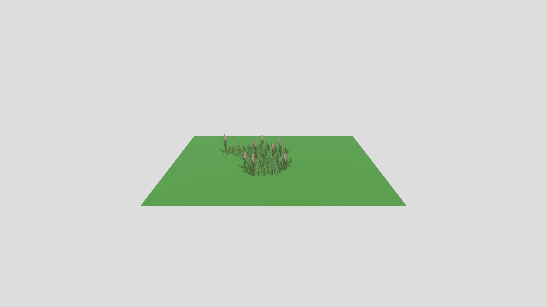 meadow flowers