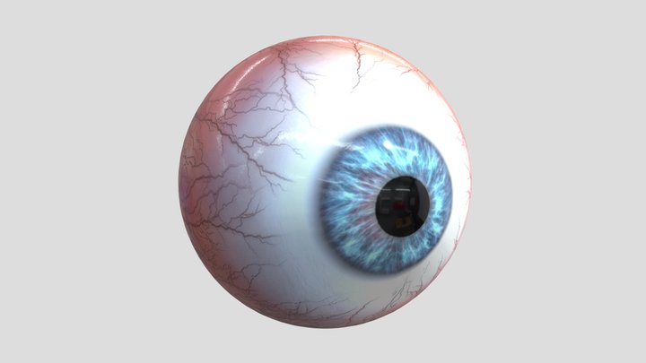 Laboratory Blue Eye 3D Model