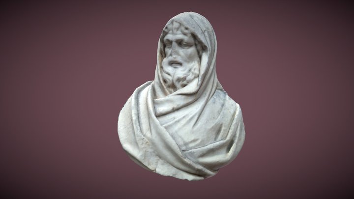 Busto masculino 3D Model
