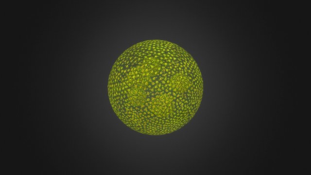 Volvox Зеленая водоросль Chlorophyta 3D Model