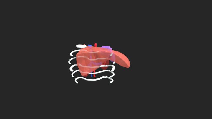 LDLT_3D_simul 3D Model