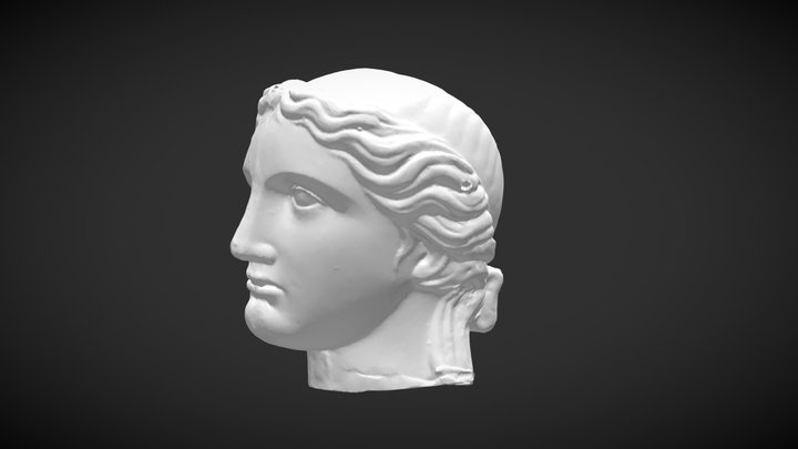Tête test 3D Model