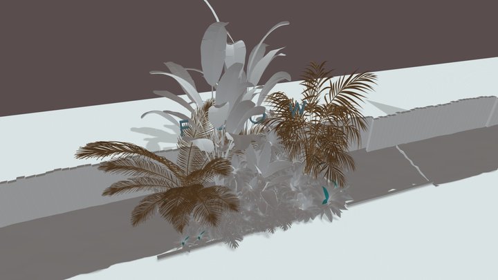 FLOW 3D Model