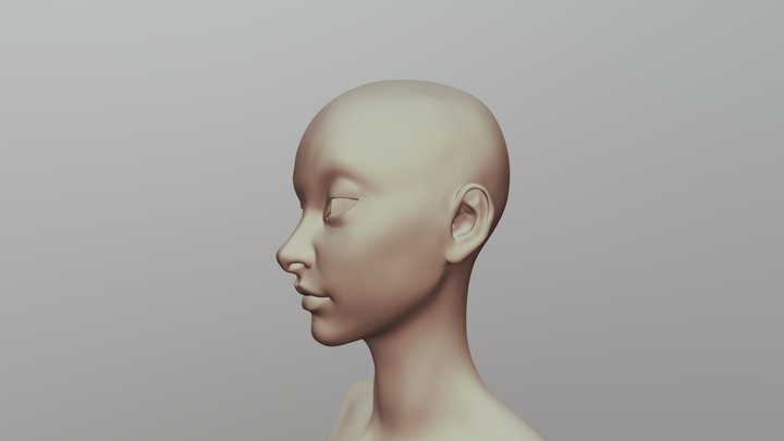 Free girl head. 3D Model