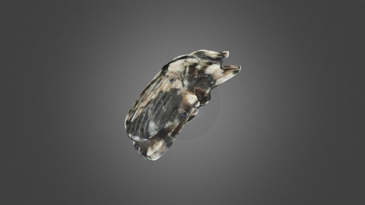 Scarab 3D Model