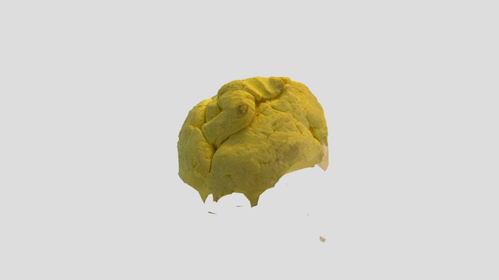 Experiment 2 3D Model