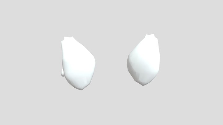 aphmau-ein-ears 3D Model