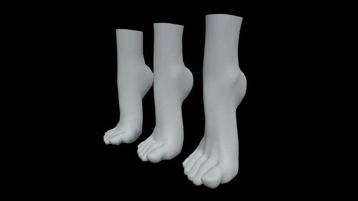 Human foot base mesh 3D Model