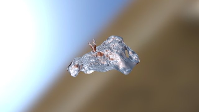 Coral 1 3D Model