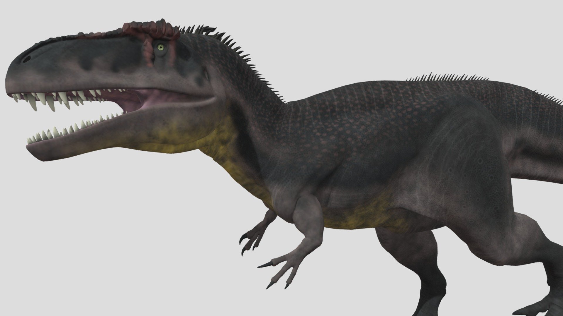 tyrannotitan - Download Free 3D model by seth the yutyrannus ...