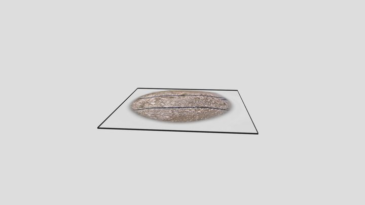 anim-scavo-1 3D Model