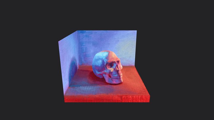 Skull 3D Model
