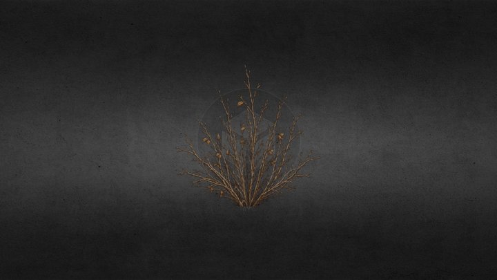 Dried-up-Bush