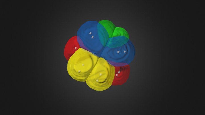 16 cell Vegetal 3D 3D Model