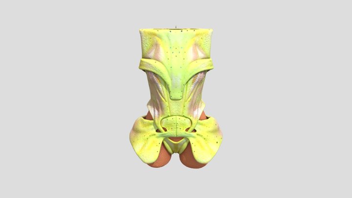 Neon Blossom Armor 3D Model
