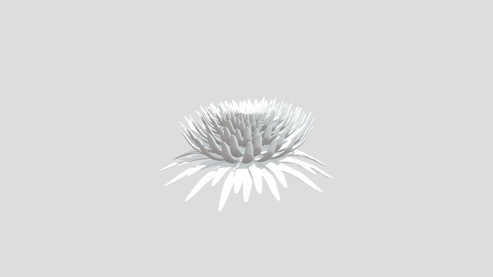 Frailejon 2 3D Model