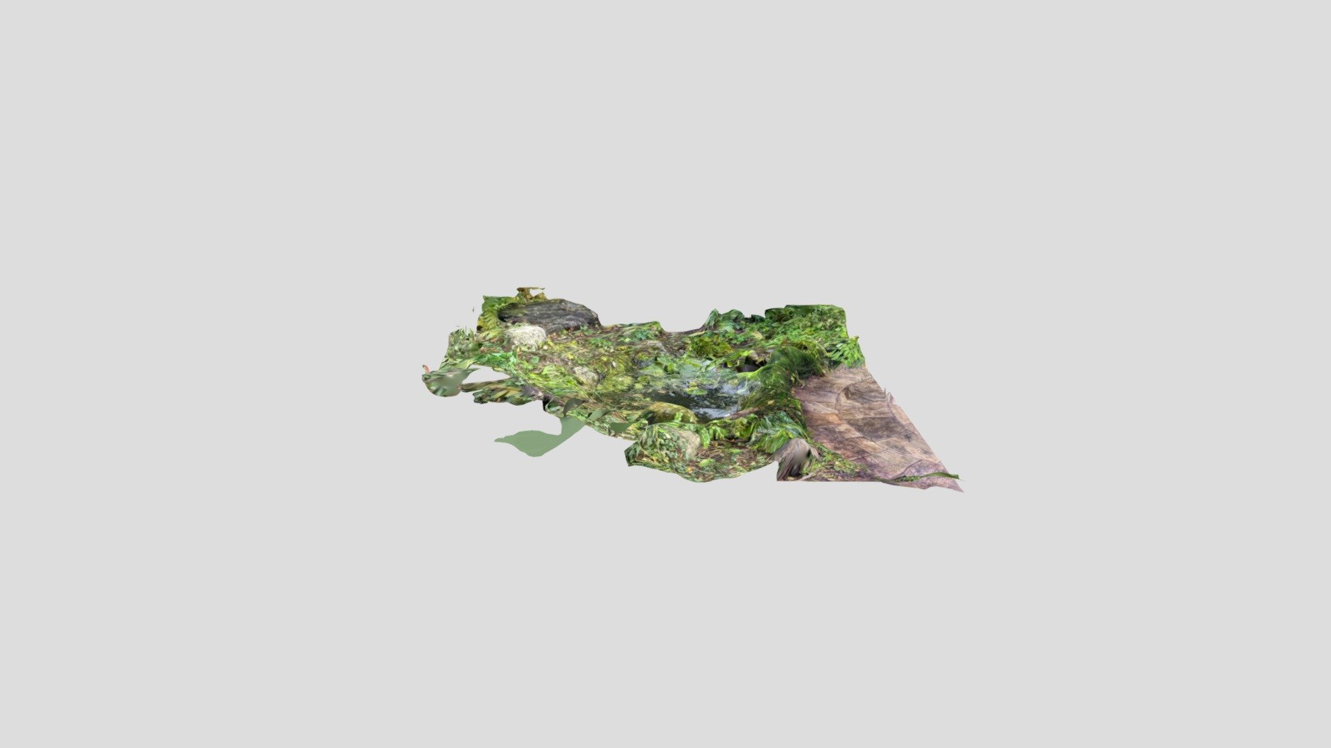 Pond