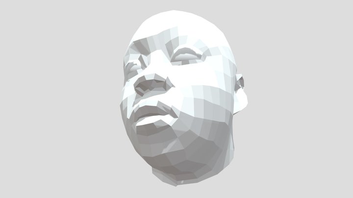 Retopologized Face 3D Model