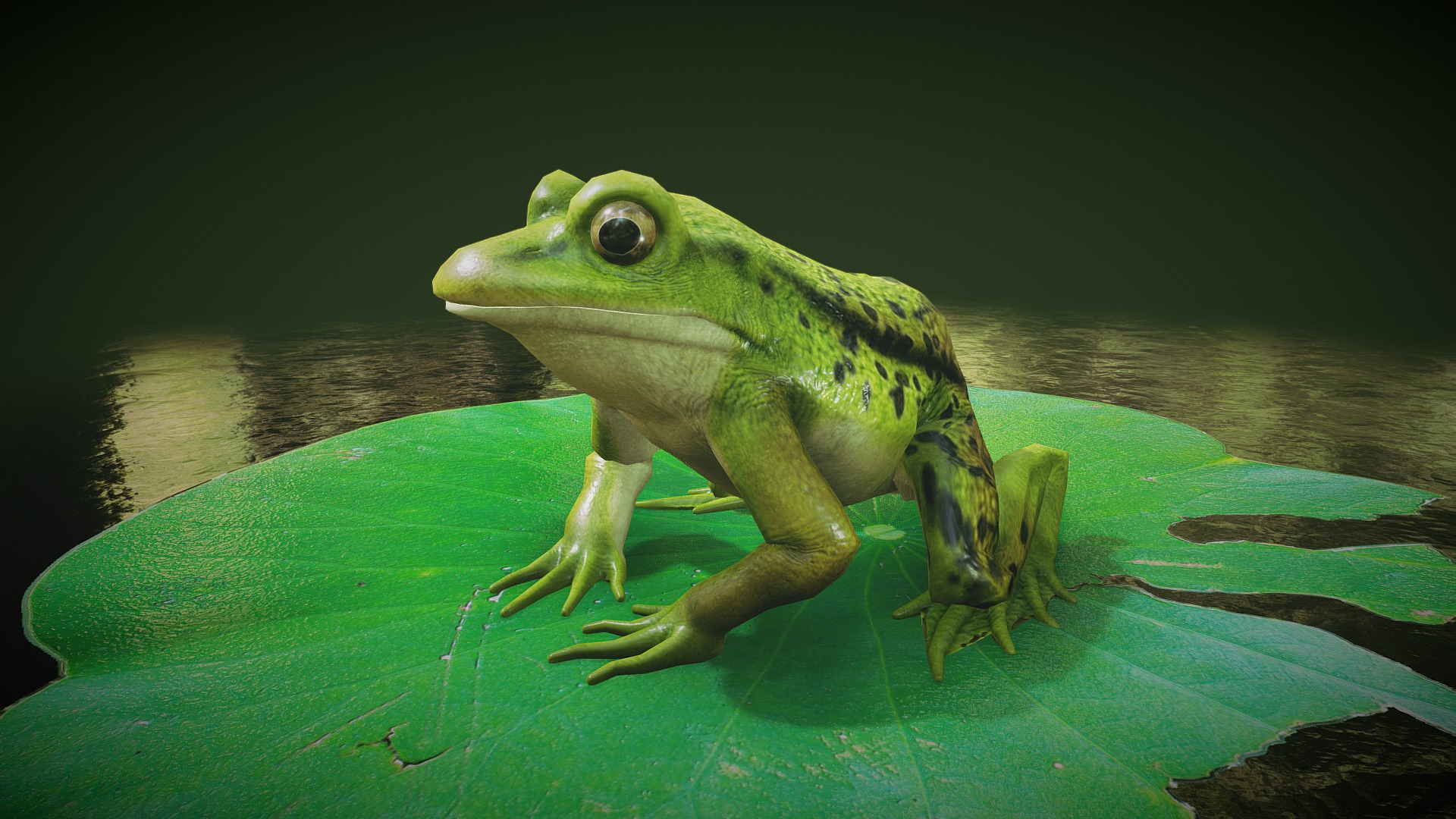 3D model Pelophylax Lessonae - This is a 3D model of the Pelophylax Lessonae. The 3D model is about a frog on a leaf.