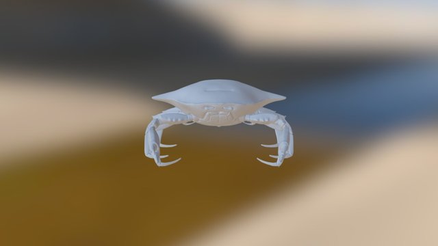 Crab For Show 3D Model