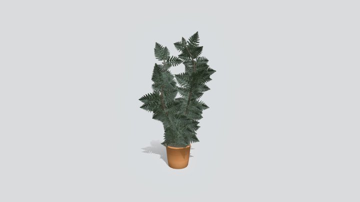 Planter fern-ish 3D Model