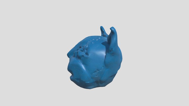 Squid – Kostenloses 3D-Modell STL