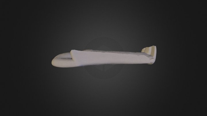 Cosmic Buddha (by Smithsonian Institute) 3D Model