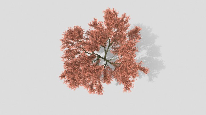 Modelo árbol 01 3D Model