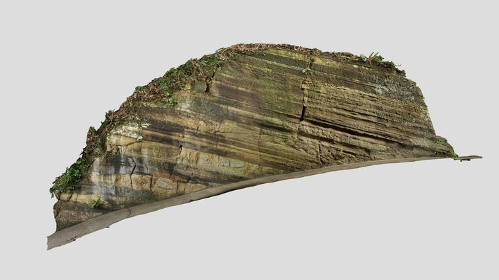 切通し(三浦層群池子層)＠観音崎 3D Model