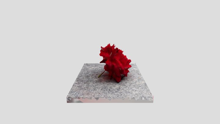 Flower 3D Model