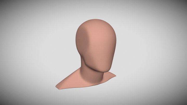 Loomis Head Fused Form 3D Model
