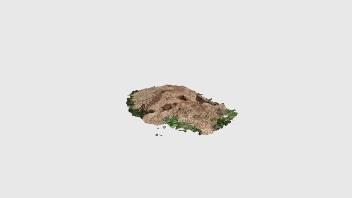 Pile of sawdust 3D Model