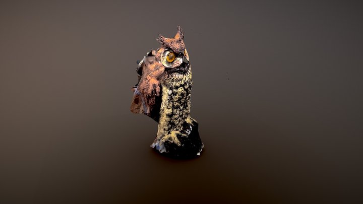 Hoot Owl 3D Model