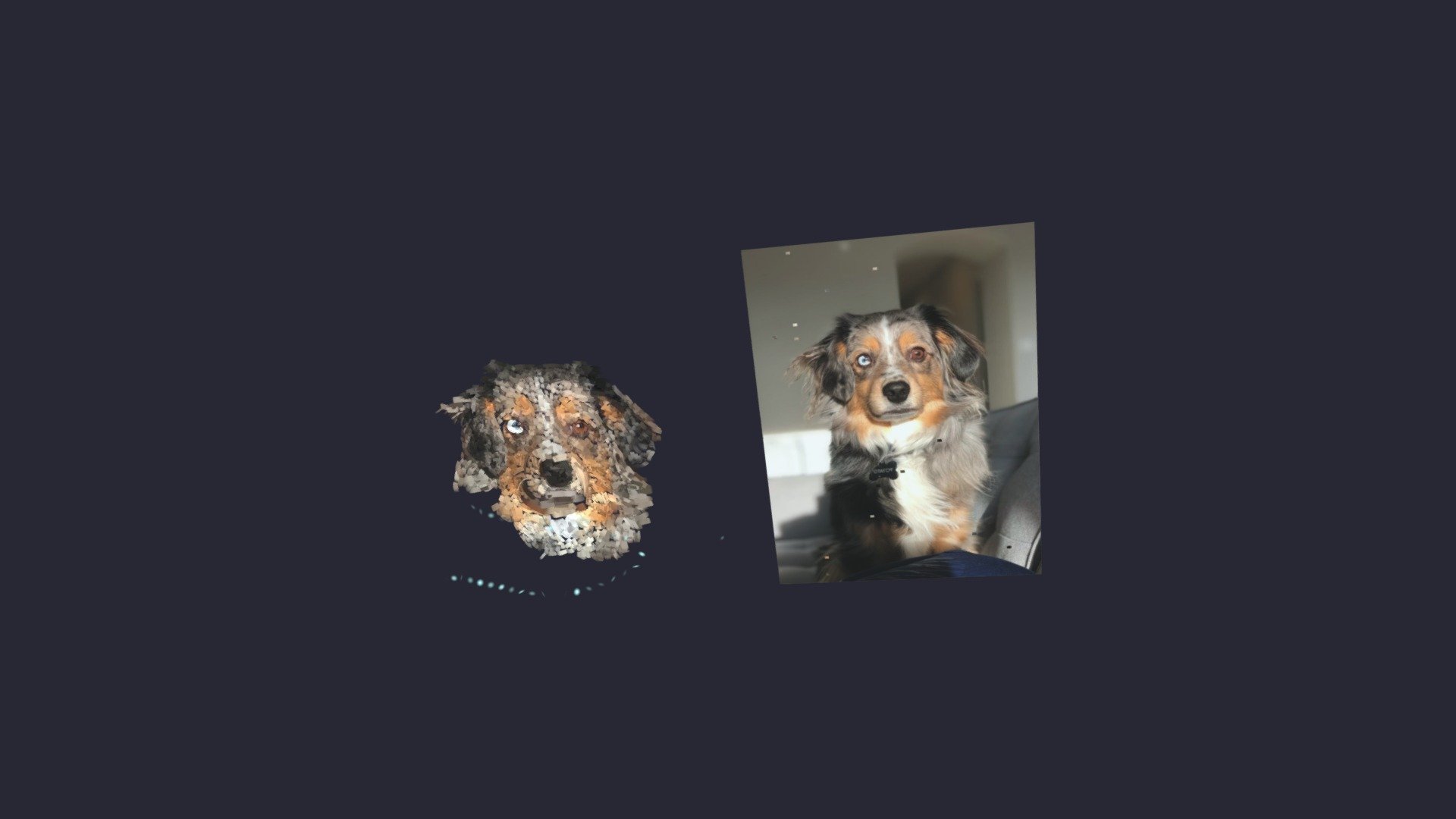 lil pup