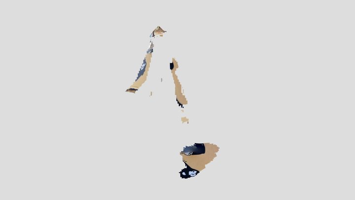 Untitled Scan 3D Model