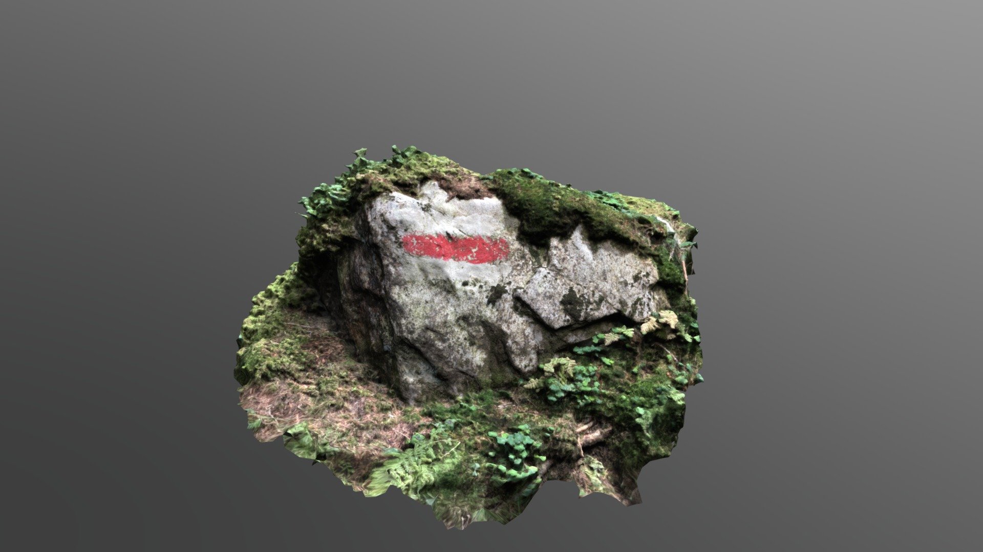 Bergwanderweg
