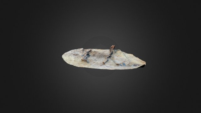 brits muildier high res 3D Model