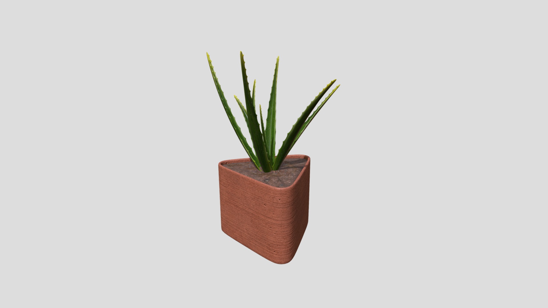 3D model Plant - This is a 3D model of the Plant. The 3D model is about a plant in a pot.