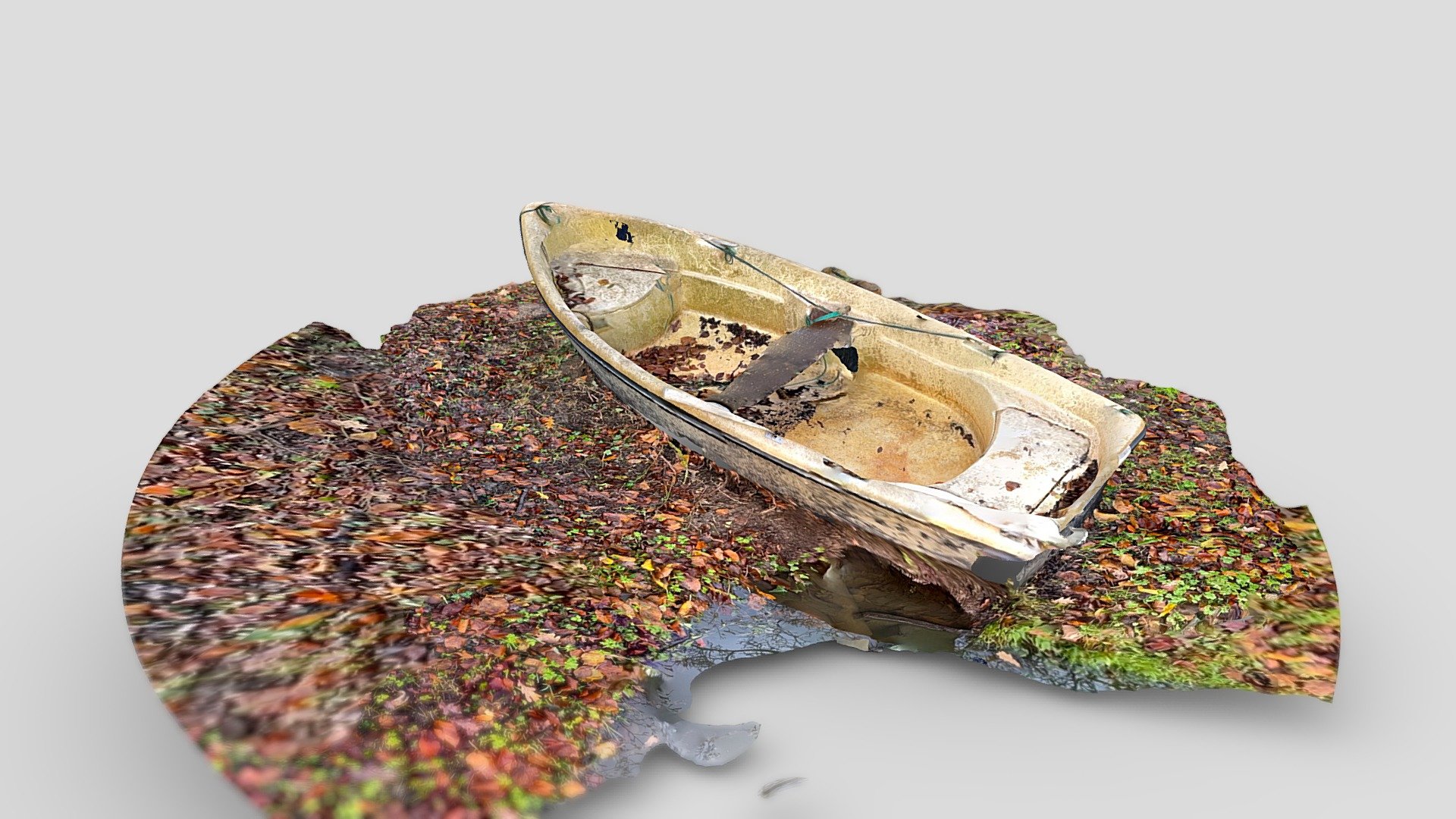 Day 340: old boat