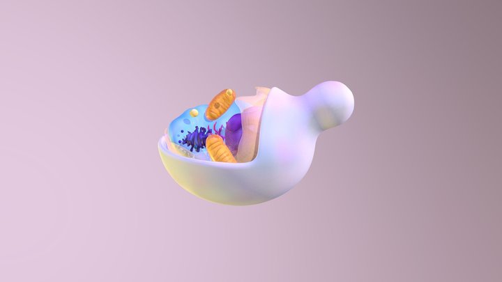 Budding yeast intracellular model 3D Model