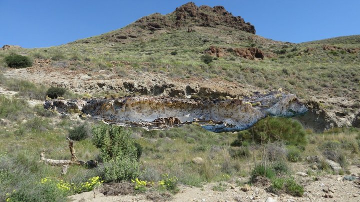 Ignimbrites, Rambla de Las Negras, Spain 3D Model