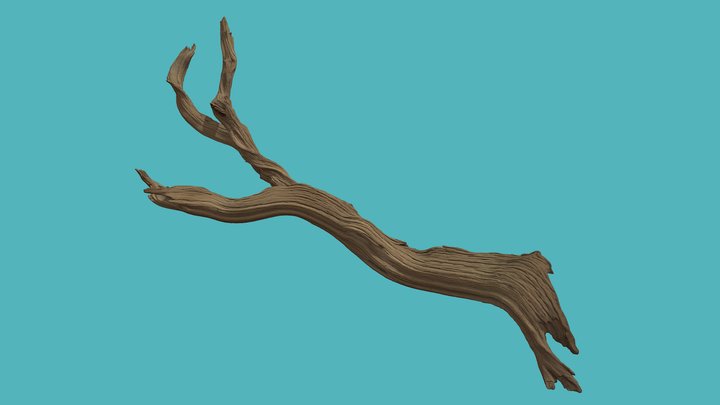 Branch of Driftwood – Free 3D Model STL