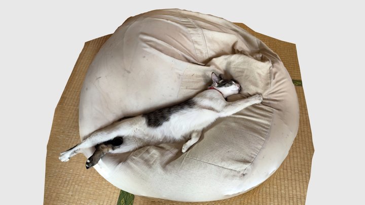 Stretched cat 3D Model