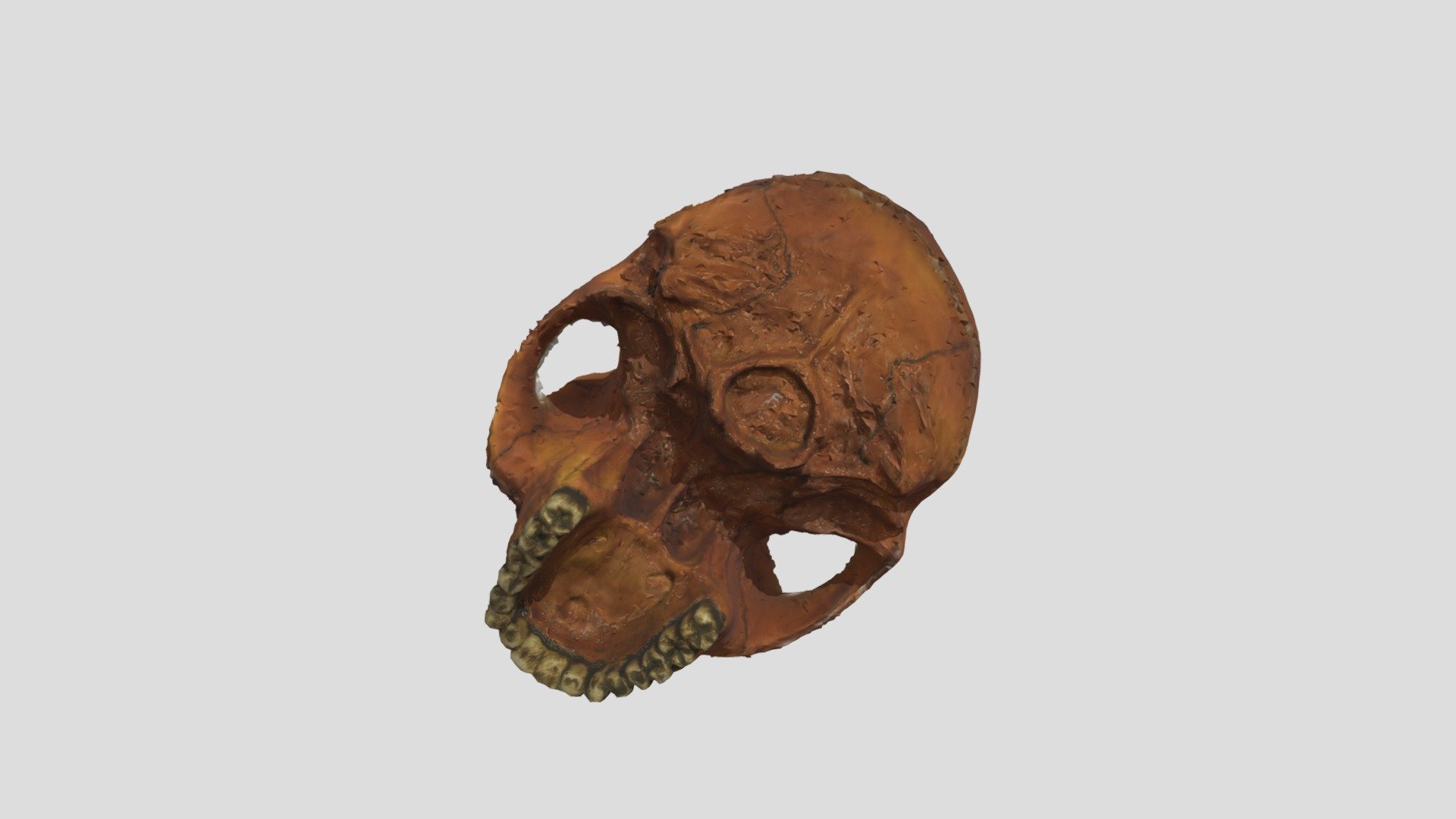 Skull F Small